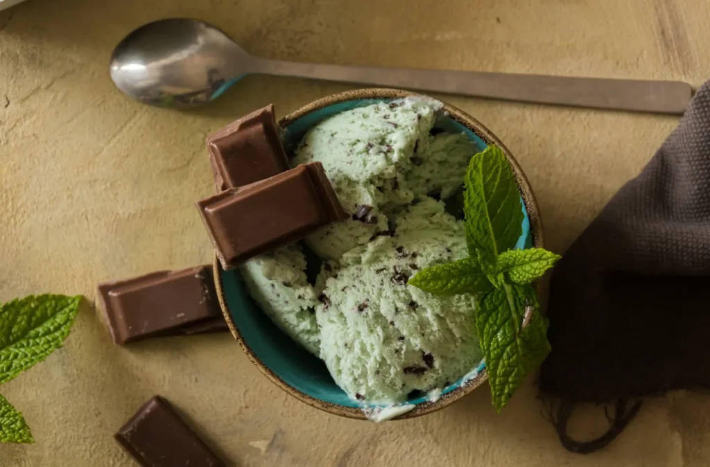 Mint Chocolate Chip Ice Cream