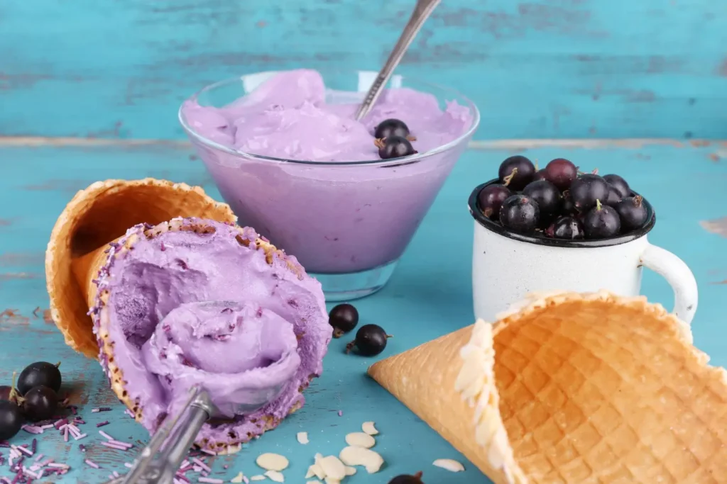 Ninja Creami Blueberry Acai Sorbet