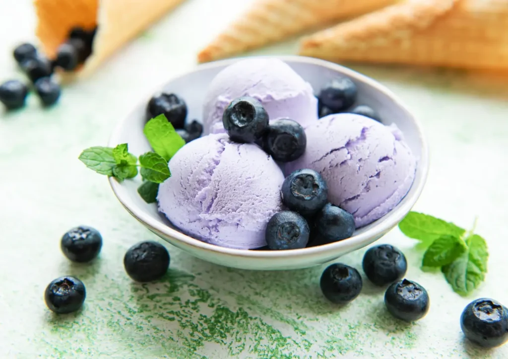 Ninja Creami Blueberry Gelato Recipe