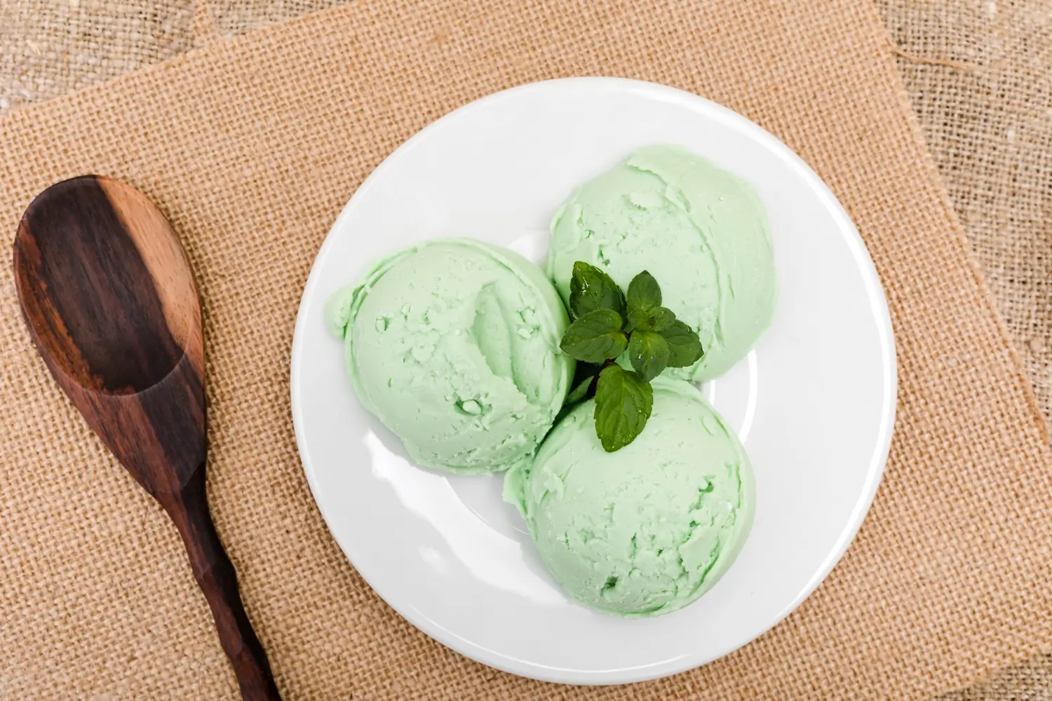 Ninja Creami Cucumber Mint Sorbet