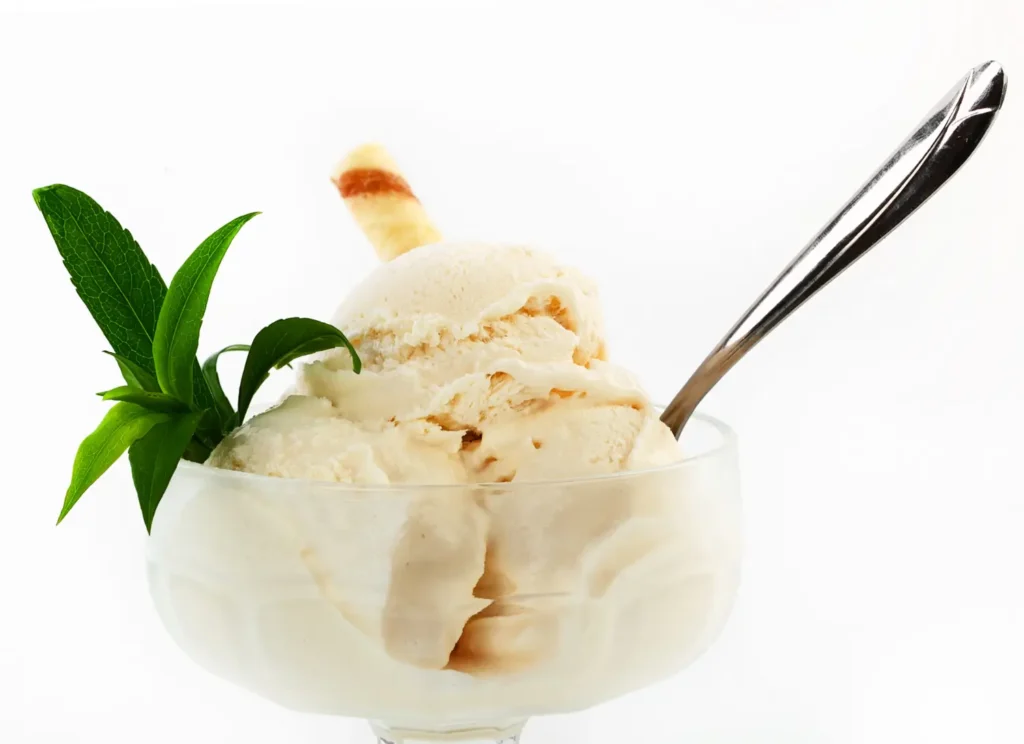 Ninja Creami Keto Coconut Macadamia Ice Cream