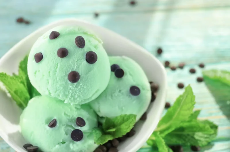 Ninja Creami Keto Mint Chip Ice Cream