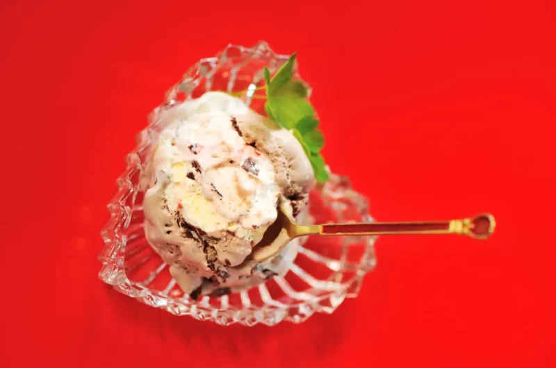 Ninja Creami Peppermint Bark Ice Cream